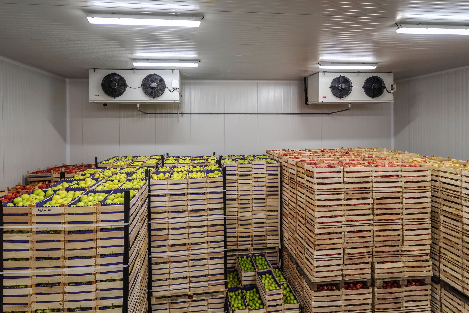 Industrieële koeling - Fruitteelt